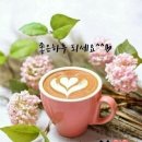 [정보] 커피(Coffee) 이야기 이미지