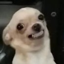 깜빵