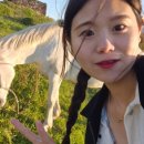 비자림스테이104
