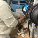 개목욕탕 | 부산애견목욕 / 애견셀프목욕 "개목욕탕"