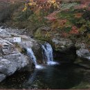 가평체육관 건너편 이미지