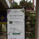 26,8,30 포천 허브아이랜드 이미지