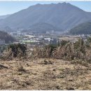 땅대박공인중개사사무소 이미지