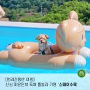스테이수목 | 마운틴뷰의 반려견동반 독채 풀빌라, 가평 스테이수목