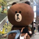 민요트롯 이미지