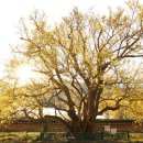 계척체육공원 이미지
