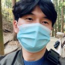 보성 당일치기 여행 / 대한다원보성녹차밭 / 율포솔밭해수욕장 / 비치회집 / 드롭탑