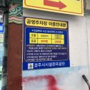 [경주포항] 겨울여행#2 보배김밥/샬로우커피/이강수산호미곶과메기/포항죽도시장/평남식당/껍데기...