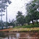 박가네 메밀막국수 | 속초 식당 추천 : 박가네메밀막국수