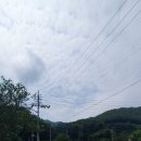 자라무인텔 이미지