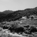 서당골약수터 이미지