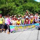덕산저수지민박 Daum카페