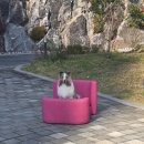 블루멍 펫 테라피 | 강아지 메트리스 고를때 기준은 멍슬립 - 서울펫쇼가다