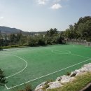 태백동스포츠파크 풋살장 이미지