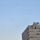 2024년 12월 14일 여의도 국회의사당 탄핵 집회 2회차