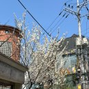 cafe oort(카페 오르트) 이미지