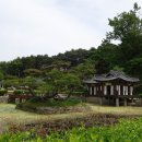 인제로 이미지