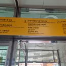 교대부설초등학교건너 이미지