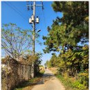 미암면사무소 이미지