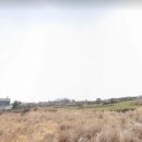 어리1 1교 이미지