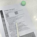 비숑다움 | 광주 남구 애견미용 &#34;비숑다움&#34;, 미니비숑 꿍이의 배냇 미용 후기