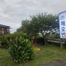 해오반