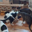 주식회사 캔 이미지