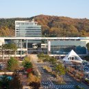 성남면작은도서관 이미지