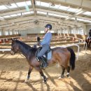 산청승마장 이미지