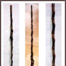 * 감태나무 연수목 지팡이 이미지