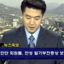 화려한외출 이미지