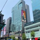 파라다이스텔 이미지