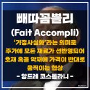 페따 이미지