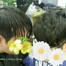 애플헤어샵 이미지