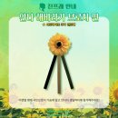 안나까페 이미지