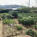 세곡농장 이미지