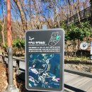 상계숲속작은도서관 | [아차산 숲속 도서관] 맑은 하늘이 불러낸 작은 외출