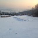 코세스해피빌리지 이미지