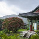 풍경소리 - 충주시 복상골길 137 | 풍경소리