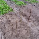 솔바람농장 이미지