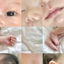 GS25진주인사점 | 4월 일상 : 제왕절개 후기 • 참조은산부인과 조리원...쓰롱 네임택 • PULEV 풀레브 • 인아트 진주점