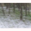 옥정호구절초테마공원 이미지