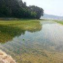 바다의별팬션 이미지