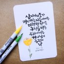 수채캘리그라피 이미지