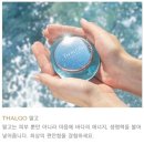 브이(V)호텔 | 조선호텔 V스파 후기