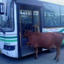 세광양대창(군자점) 이미지