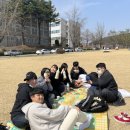 막걸리 부르쓰