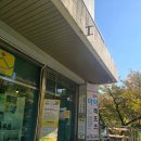 경희유치원 | 서울성동구인라인스케이트강습/최고레벨전문지도자선생님께제대로배우는/경희아이레포츠 성동본점