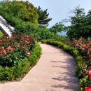 돝섬해상유원지 이미지