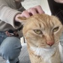 바다담스파풀빌라 이미지